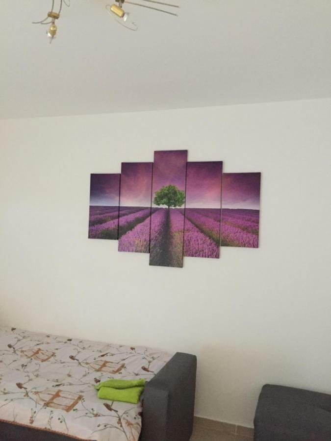 Apartment Brno Pula Zewnętrze zdjęcie